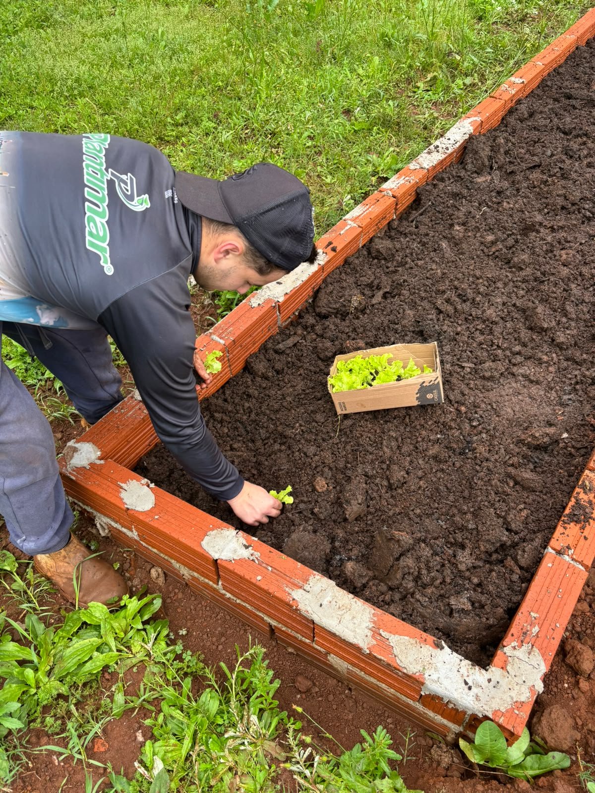 Acadêmicos de Agronomia da Unisep recuperam área e implantam horta para a comunidade escolar