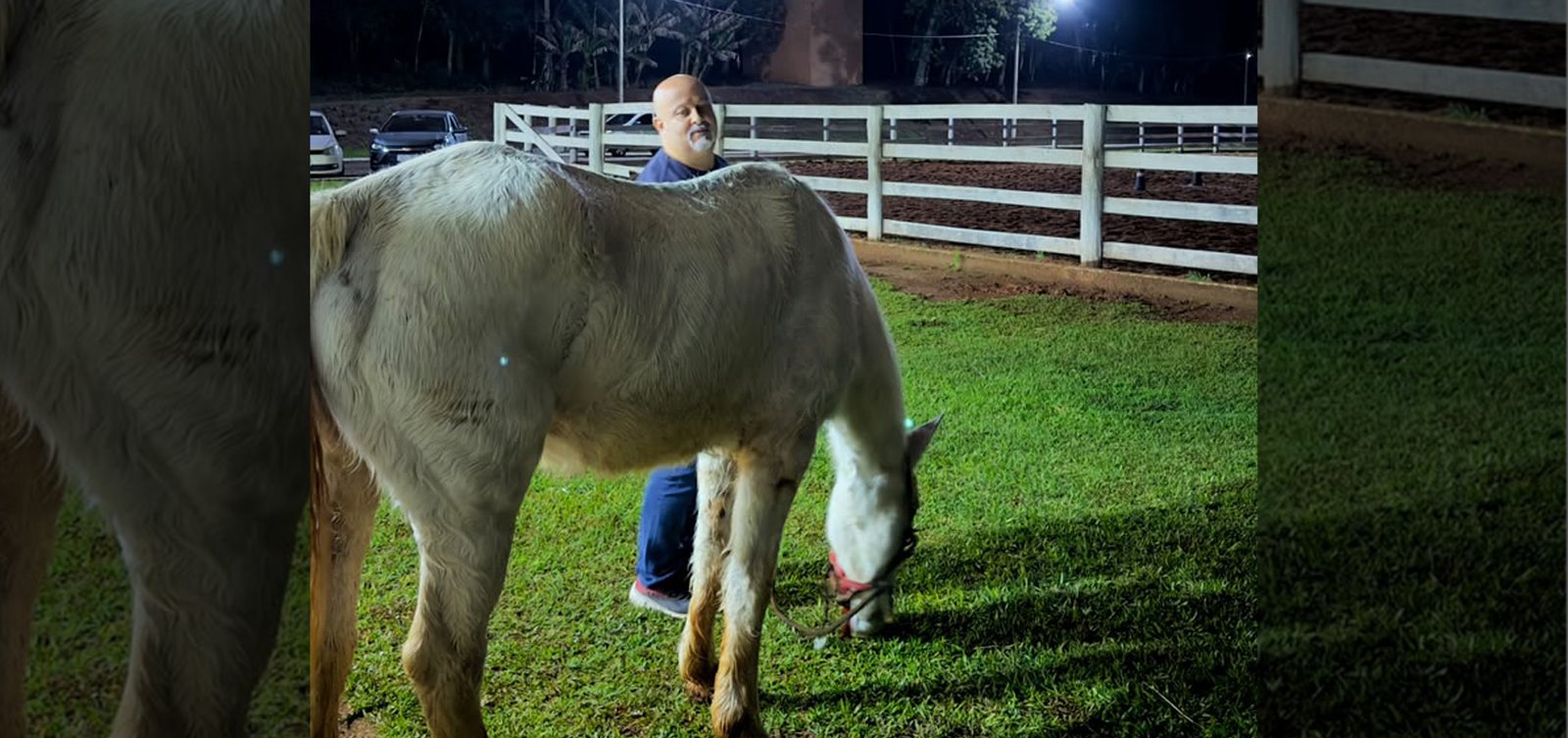 Alunos da primeira turma de Medicina Veterinária na Unisep já tiveram aula prática a campo